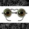 12mm Round Wide Golden Dilated Pupil Eye Cabochons - Set of Two - CAB51